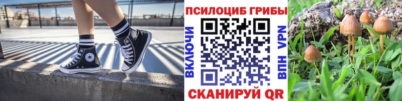 Псилоцибиновые грибы мицелий  Долгопрудный 